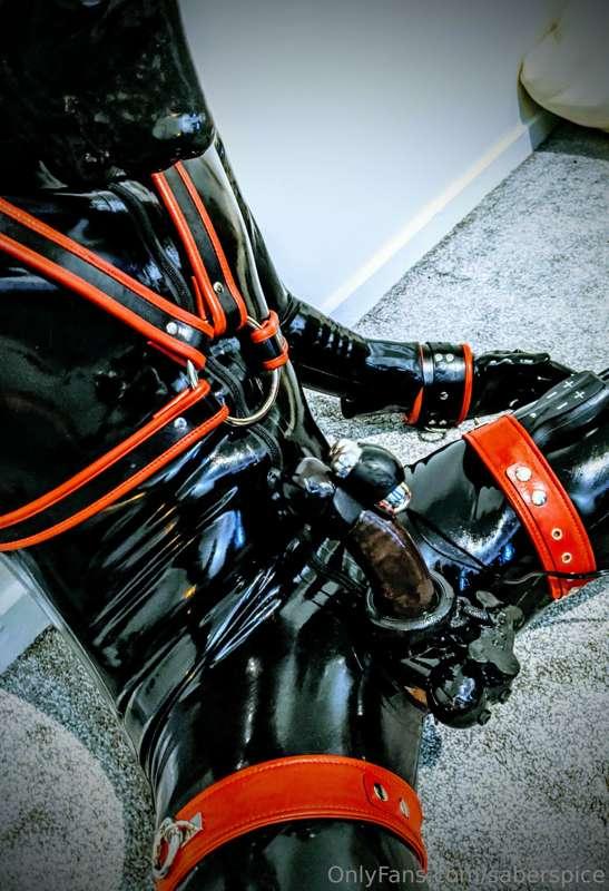 Teased puppy ready to fill that condom. no spilling a drop