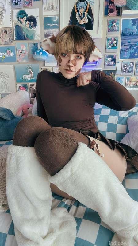 indigowhite image #66