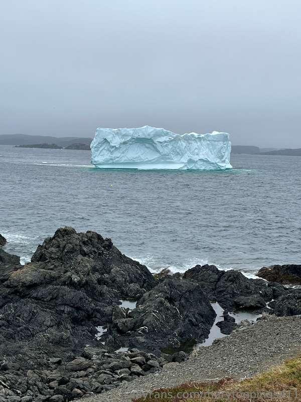 marytoppings411 image #2