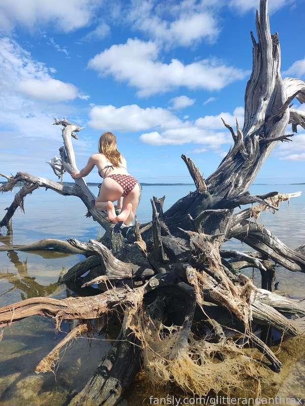 glitterandanthrax image #10