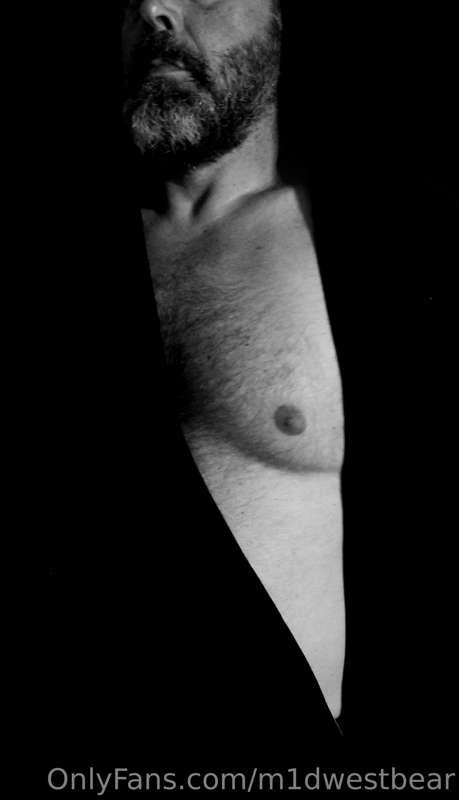 m1dwestbear image #13