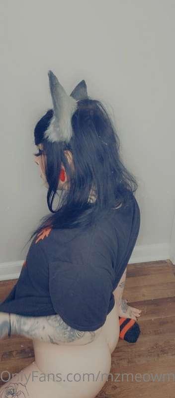 mzmeowmers image #0