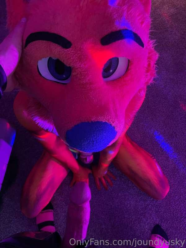 Hound is gonna be a good boy tonight😏