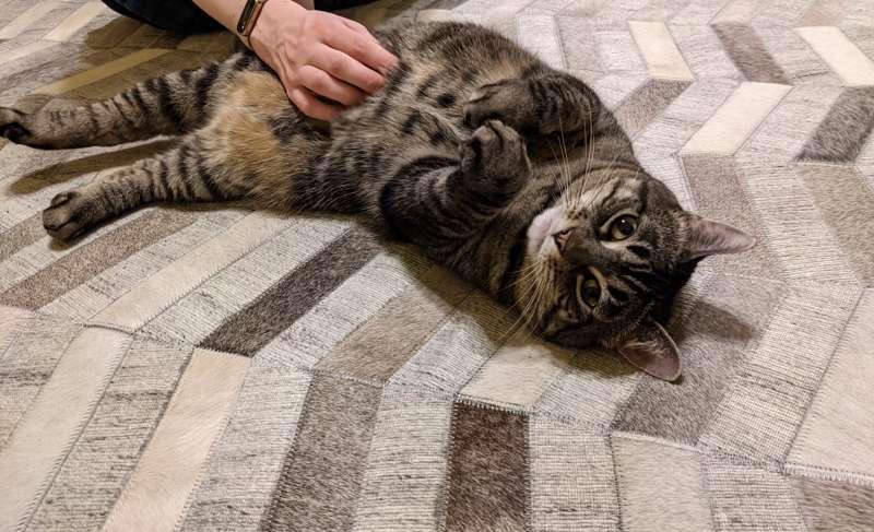 Secret Cleo (and a discount reminder)