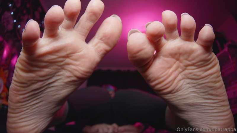 dpatrappa image #26