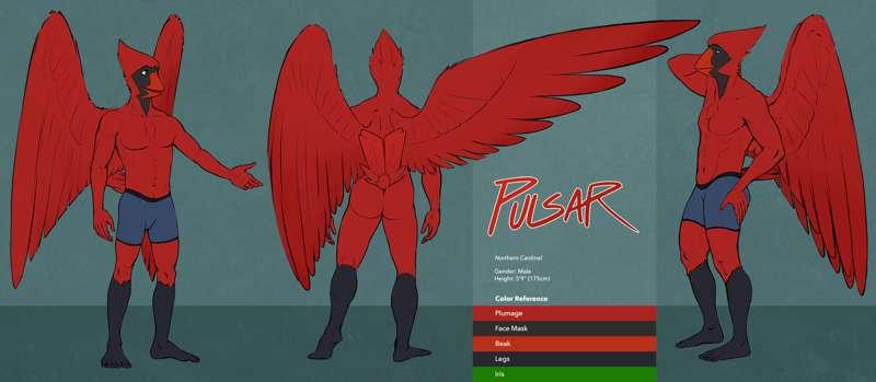 Pulsar Ref Sheet - SFW version