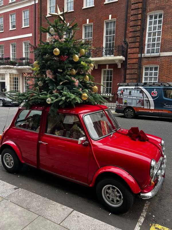 Here for the early holiday vibes 🎄