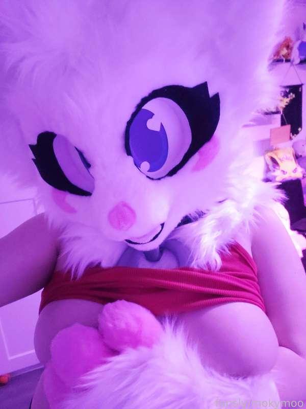 mokymoo image #3