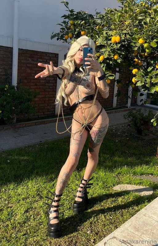 ✨