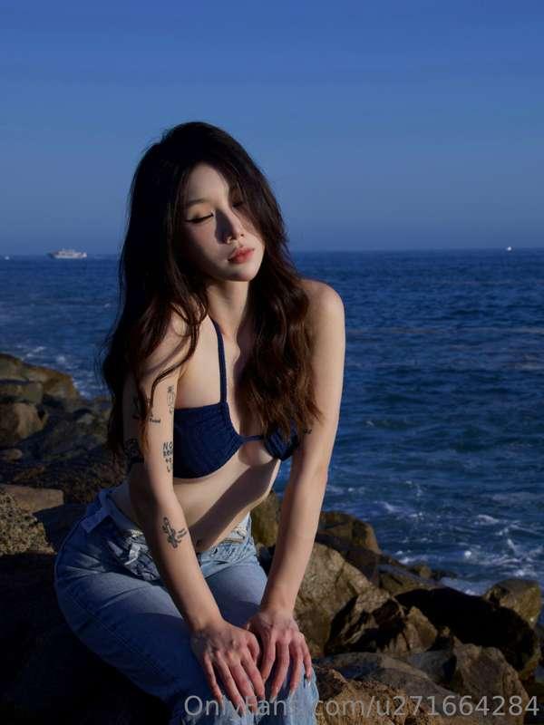🦈