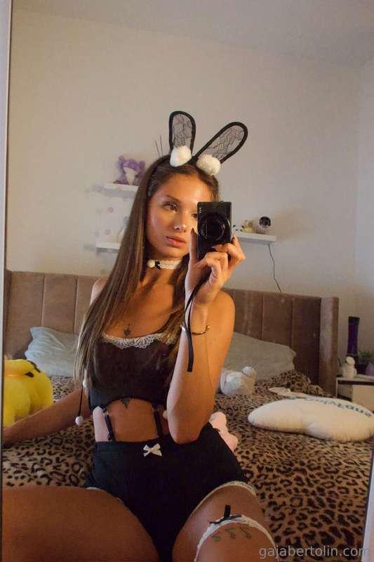 🐇🐇