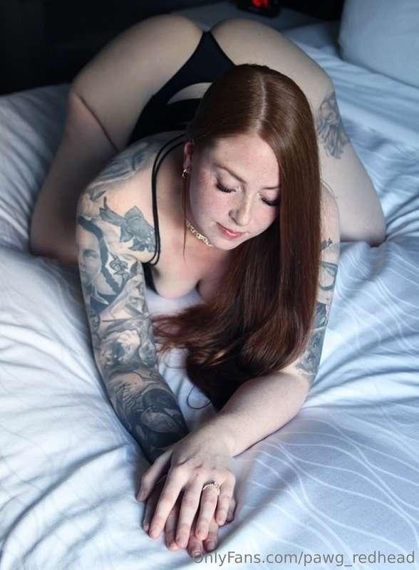 All ready to be collared and annihilated by my bulls in fron..