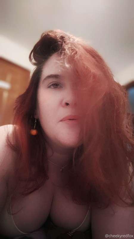 cheekyredfox image #0