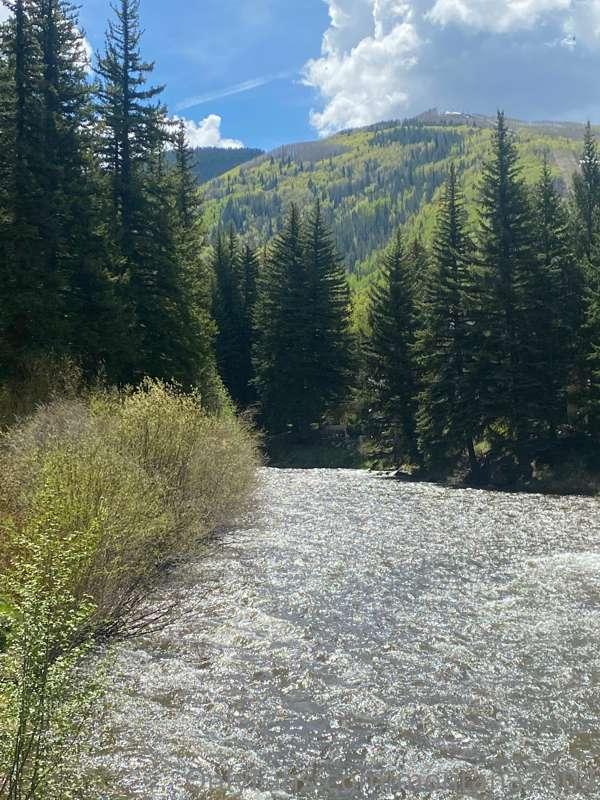 Vacation ✨🌸♥️ sorry I’ve been mia 🙈🙈