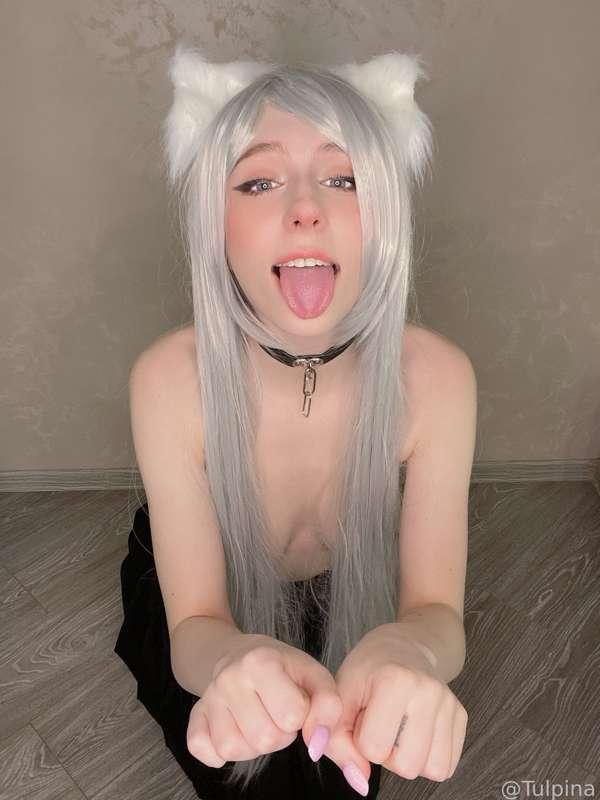 tulpina image #2