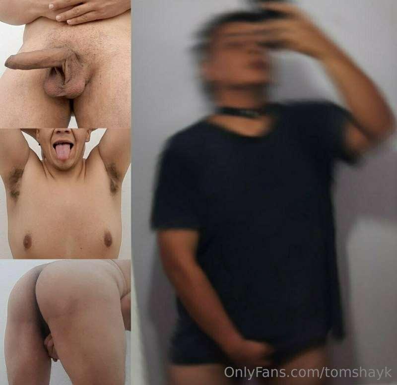 tomshayk main image
