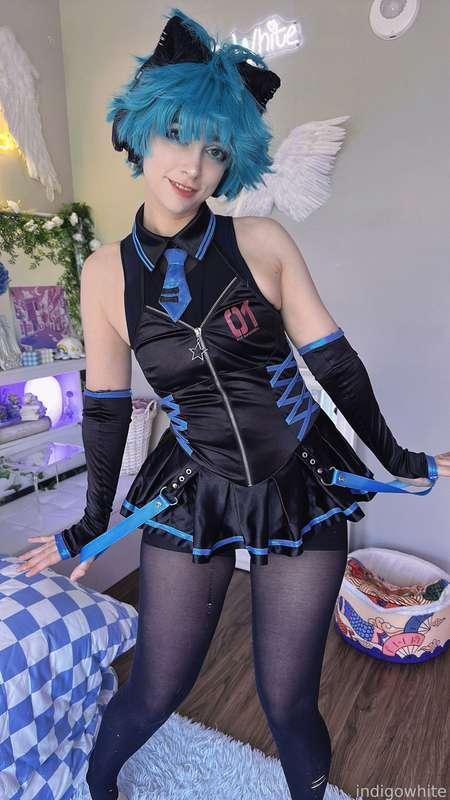 indigowhite image #42