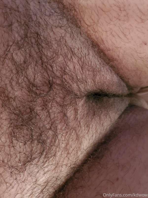 Hairy pussy pics 😍