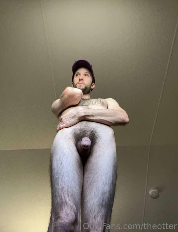 bradwantsyou image #0