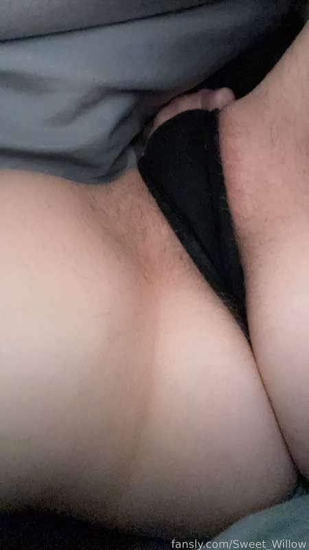sweet_willow image #1