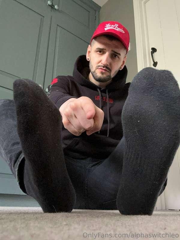 alphaswitchleo image #1