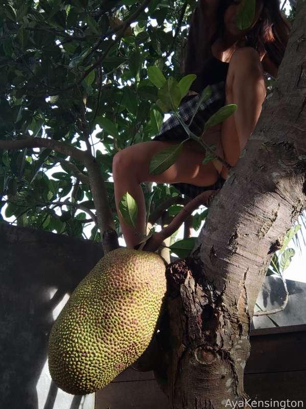 ayakensington image #1