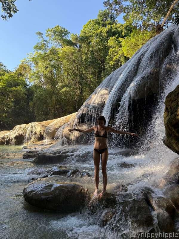 kittynippyhippie image #0