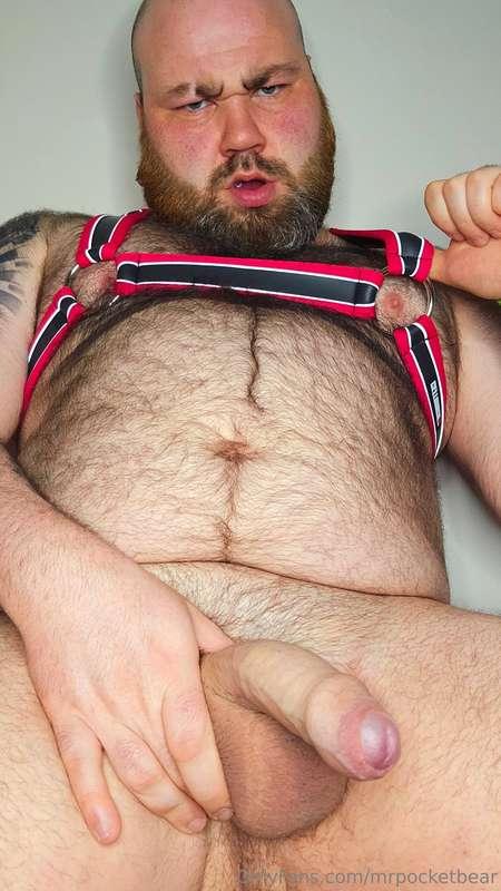 mrpocketbear image #11