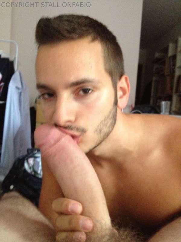 stallionfabio image #3