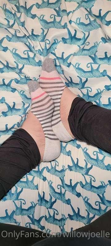 Socks for cocks
