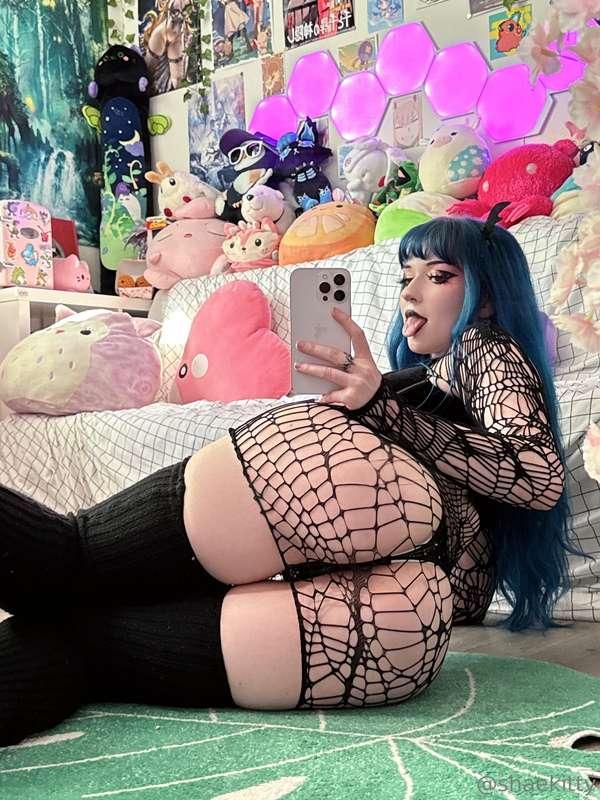 shaekitty image #0