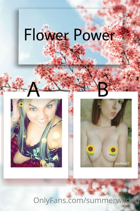 🏆 FLOWER POWER 🏆 Semi-Finals   A: @calitn0704 B: @jellica27 ..