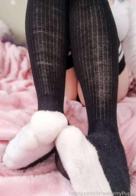 strawberrypuppi image #1