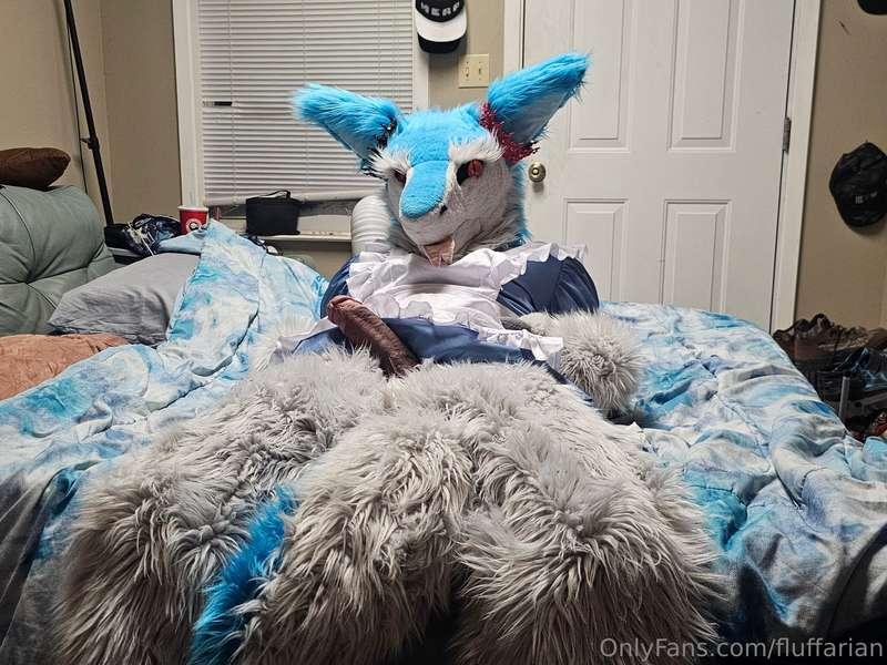 Would u mount the Maid?~