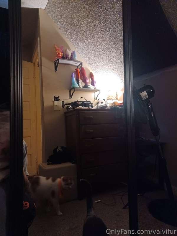 Got us a little something😏 a body mirror to stick my toys to..
