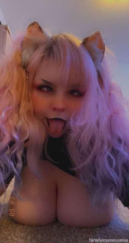 ushi_ss image #1