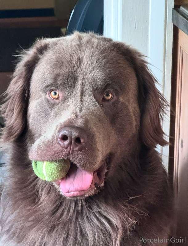 A silly, silly cutie ❤️