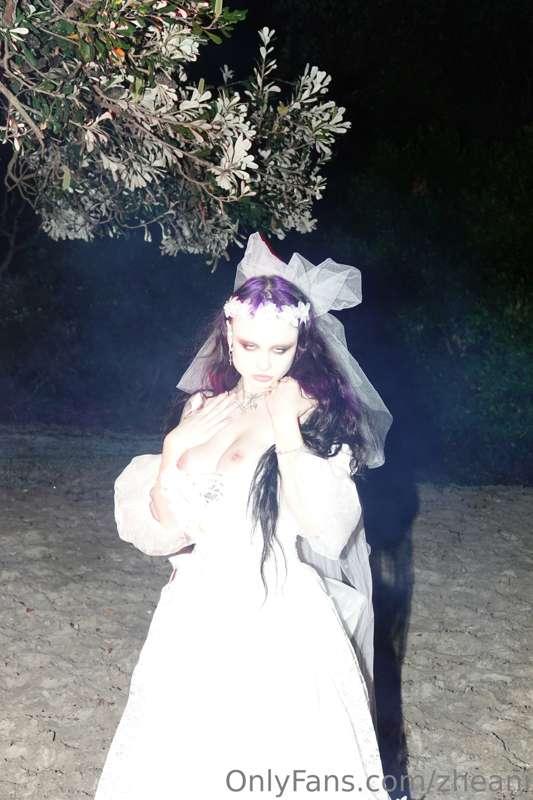 zheani image #0