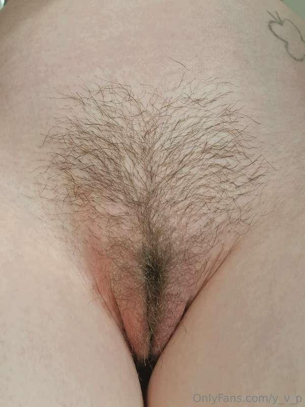 enjoy my hairy pussy 🐱