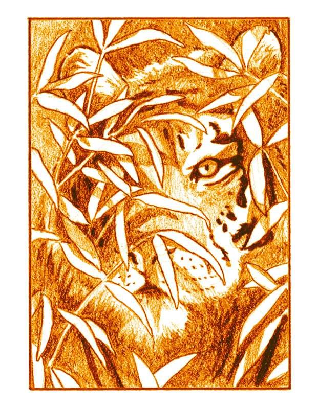 The Huntress
