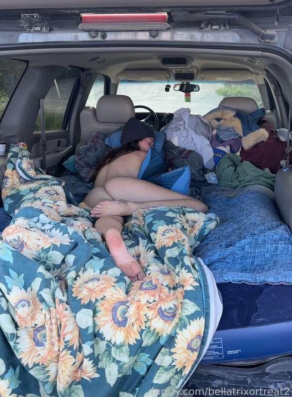 bellatrixortreat2 image #2