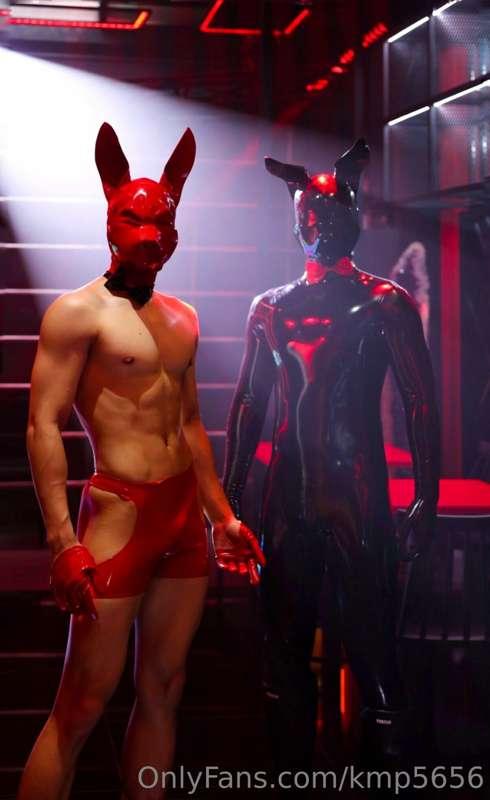 🐰🐰