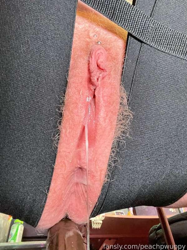 peachpwuppy image #6