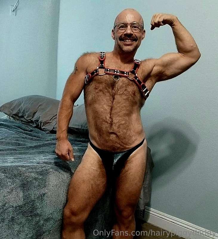 hairypiggydaddy image #1