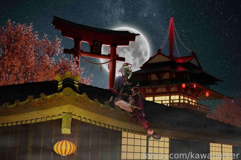 kawabarker image #2