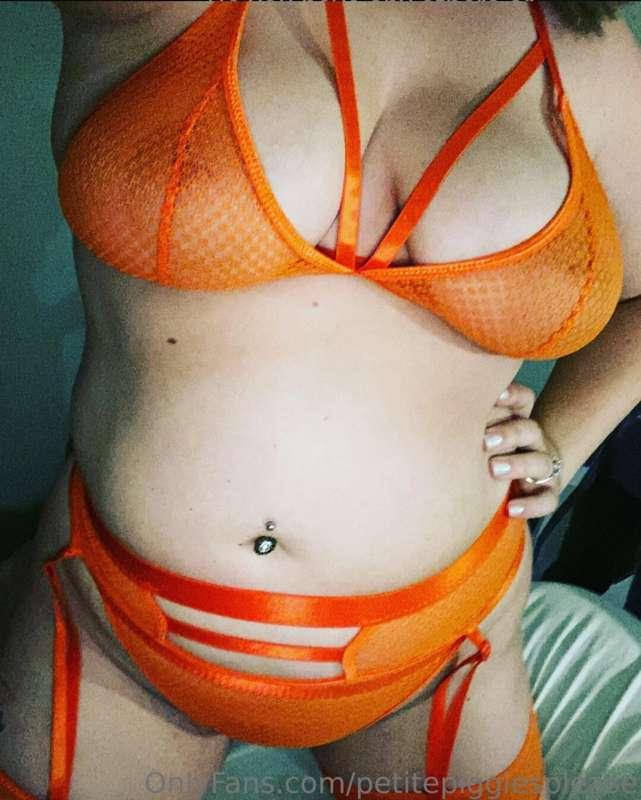 @petitepiggiesplease 🐷 Have you gotten your daily dose of MI..