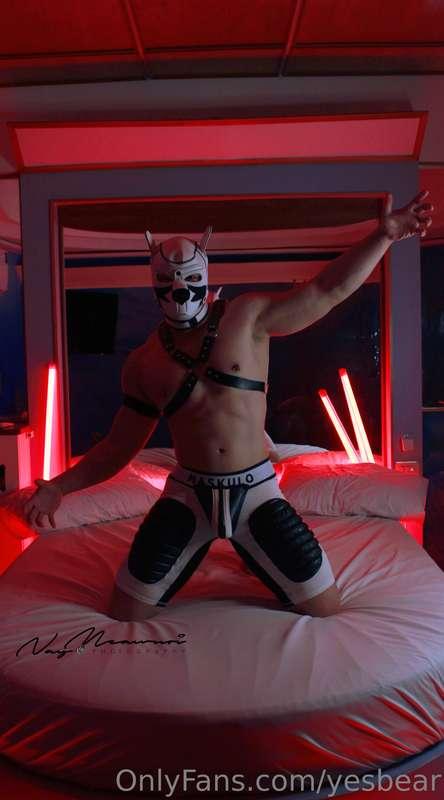 Project17 "YesBear X PupPlay" Pics 1/4🐻❤️🐶 @xmensharry