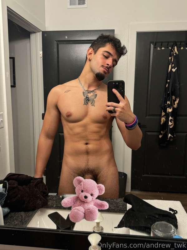 🐻