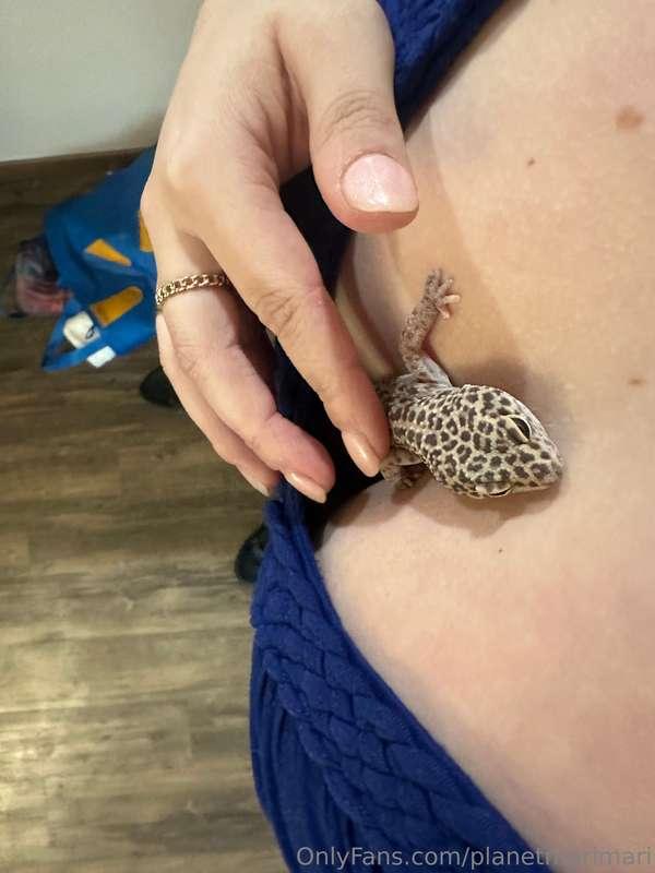 planetmarimari image #1