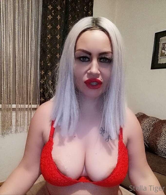 stellatiger10 image #11